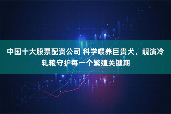 中国十大股票配资公司 科学喂养巨贵犬，靓演冷轧粮守护每一个繁殖关键期