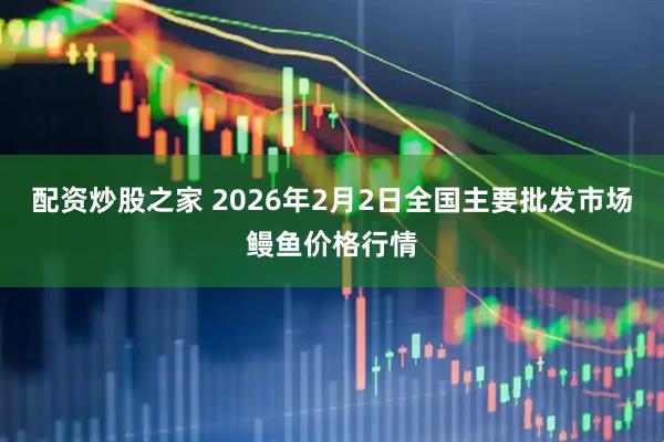 配资炒股之家 2026年2月2日全国主要批发市场鳗鱼价格行情